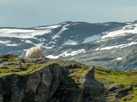 W drodze z Trolltungi